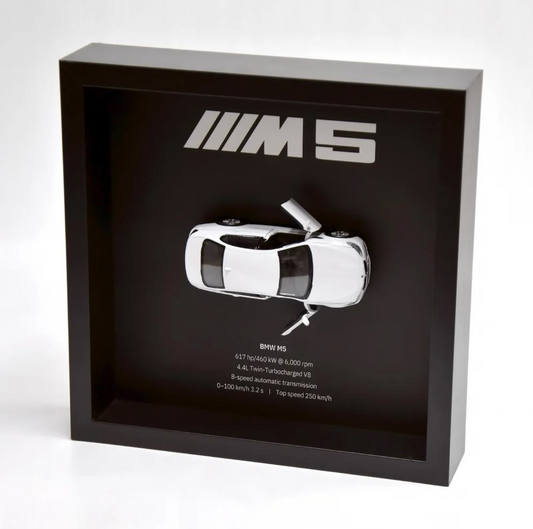 M5 RevFrame™